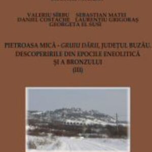 Pietroasa Mică – Gruiu Dării, Judeţul Buzău. Descoperirile din epocile eneolitică şi a bronzului (III)